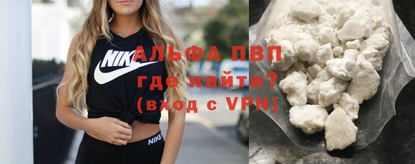 прущие грибы Медногорск