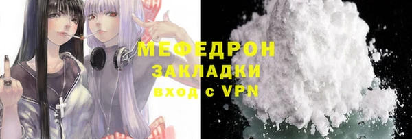 прущие грибы Медногорск