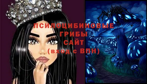 трава Медвежьегорск