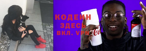 прущие грибы Медногорск