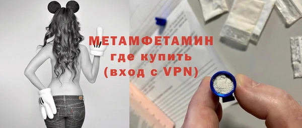 прущие грибы Медногорск