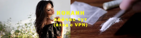 прущие грибы Медногорск