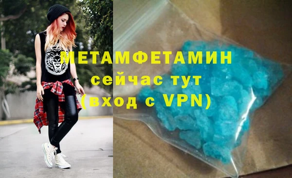 прущие грибы Медногорск