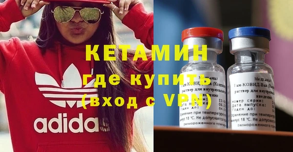 прущие грибы Медногорск