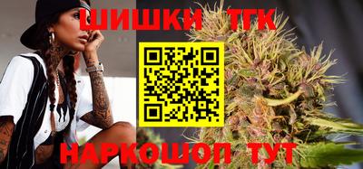 мет Кингисепп