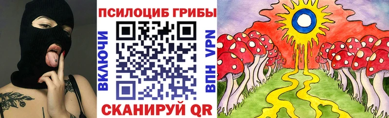Псилоцибиновые грибы Magic Shrooms  Черкесск 