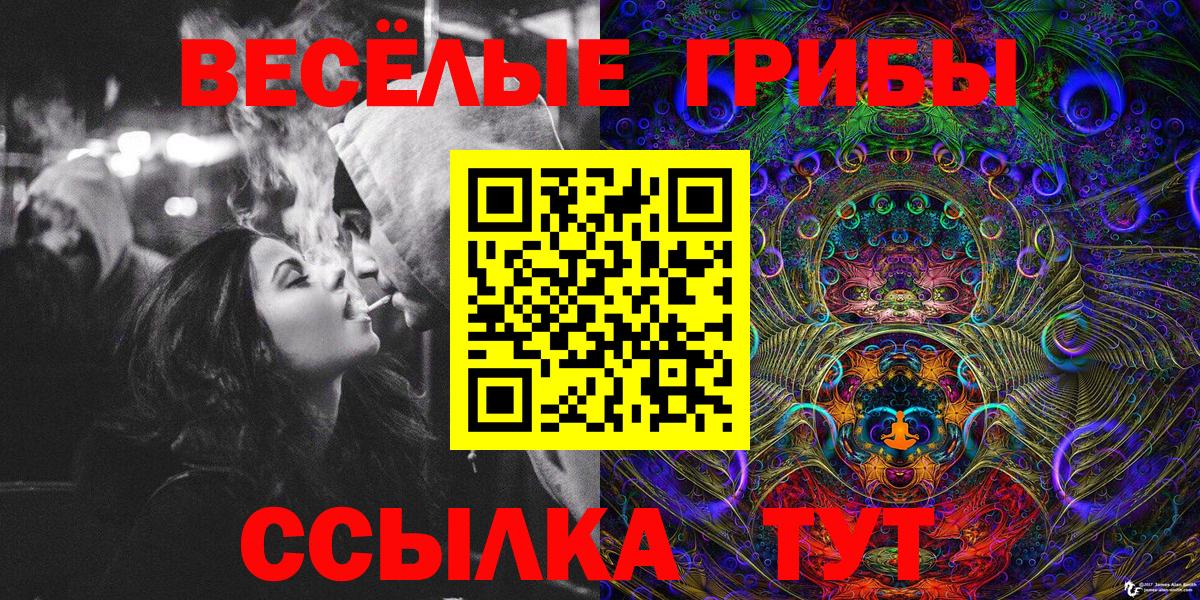 Черкесск  Галлюциногенные грибы Psilocybine cubensis  Псилоцибиновые грибы прущие грибы  Вход с VPN 